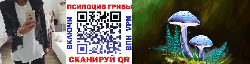 мориарти как зайти  Боровск  Галлюциногенные грибы ЛСД 